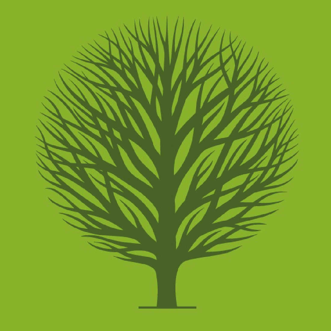 Queens-Green-Canopy-Tree-1100-x-1100